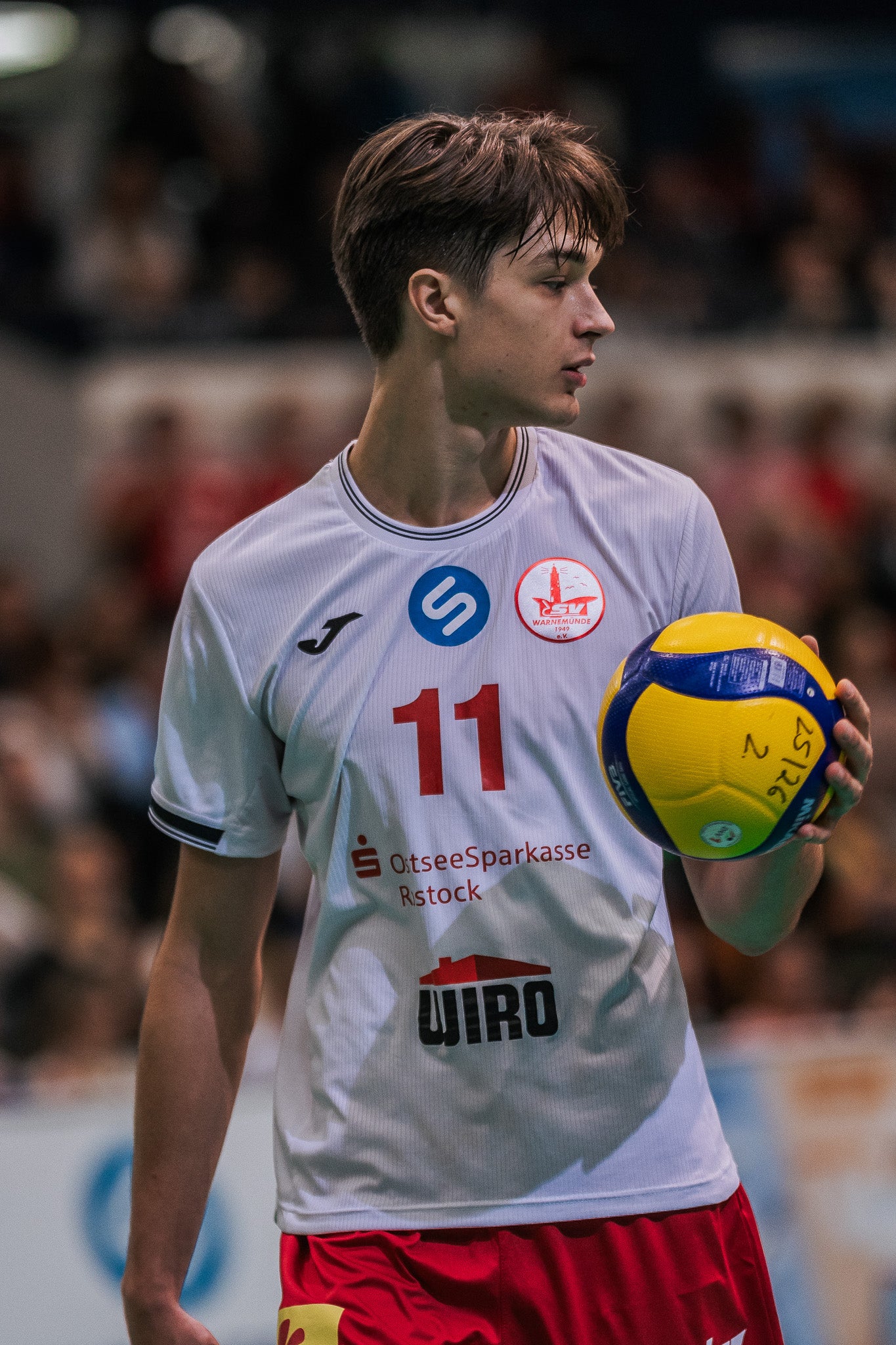 SVW Fantrikot [Auswärts] - (JOMA) / weiß | 1. Volleyball Bundesliga | Saison 2025-26